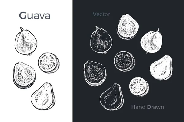 Ícones de goiaba desenhados à mão. Ilustração vetorial — Vetor de Stock