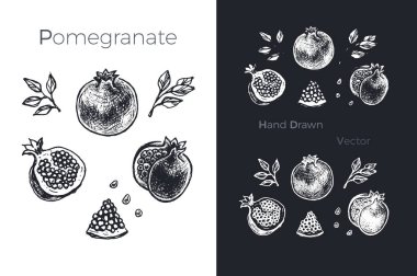 Elle çizilmiş nar. Meyve sketch vektör set