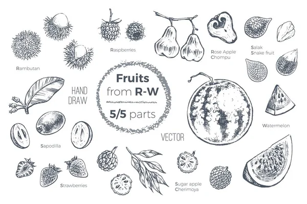 果子手绘的速写图标设置。有机食品 — 图库矢量图片
