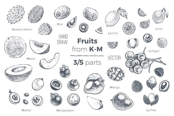 Vruchten hand getrokken schets iconen set. Biologisch voedsel — Stockvector