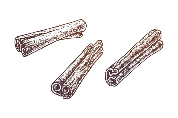 Bâtonnets de cannelle dessinés à la main. Ensemble de croquis vectoriels — Image vectorielle