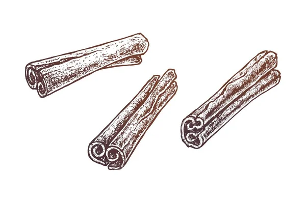 Paus de canela desenhados à mão. Conjunto de esboços vetoriais —  Vetores de Stock