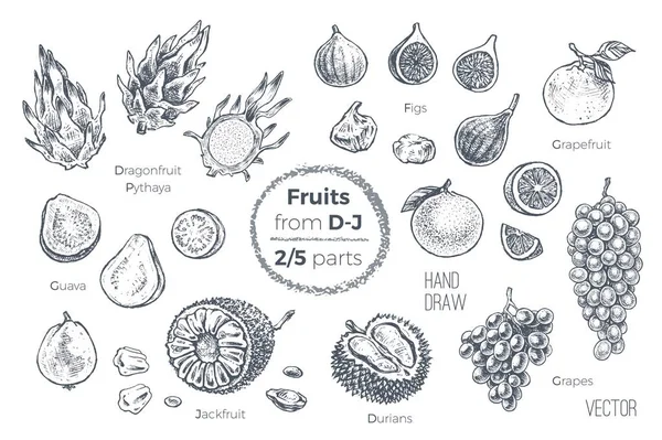 Фрукты ручной работы иконки набор. Органические продукты питания — стоковый вектор