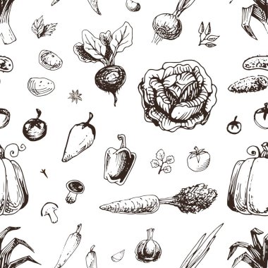 Sebze seamless modeli. Vektör arka plan