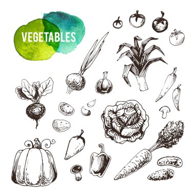 Elle çizilmiş sebze küme. Vintage vektör simgeler