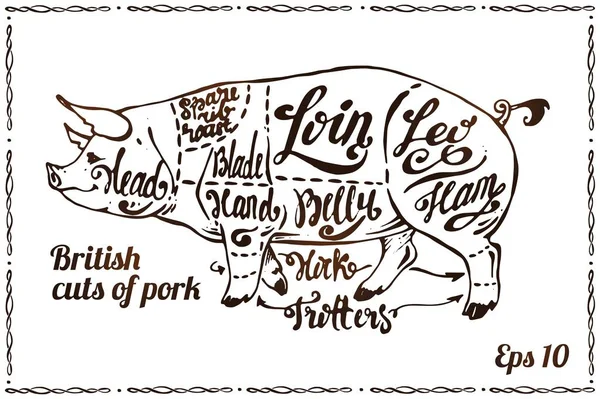 Styckningsdelar av griskött. Gris systemet på affisch för slakt — Stock vektor