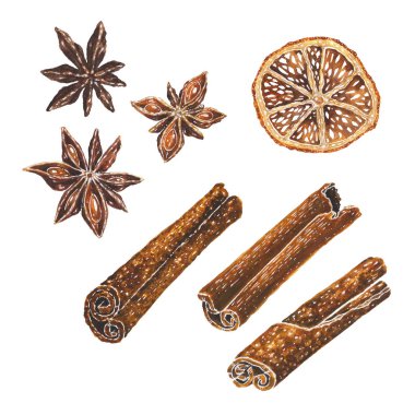 Anason yıldızlı, kurutulmuş portakal, tarçın. Suluboya resim
