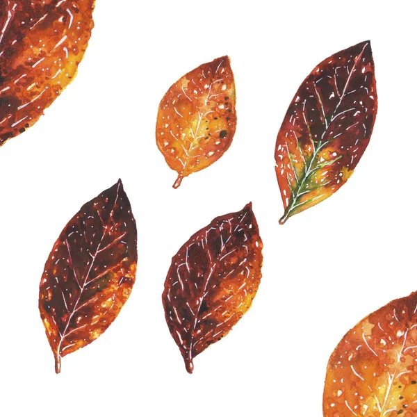 Foglie d'autunno arancioni. Set illustrazioni ad acquerello — Foto Stock