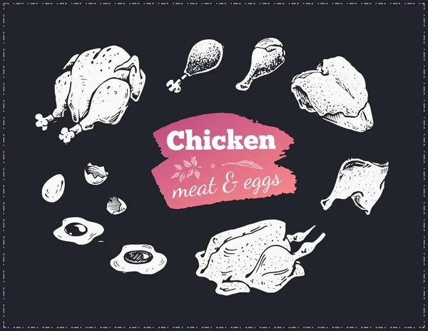 Cartel de comida dibujado a mano. Piezas de pollo y huevos — Archivo Imágenes Vectoriales