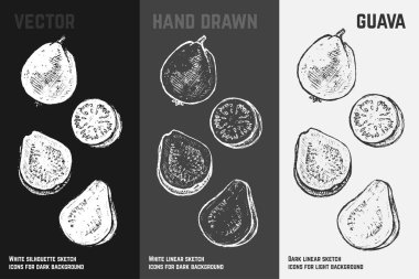El guava simgeleri çizilmiş. Vektör çizim