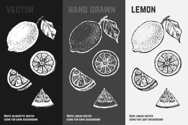 Conjunto de iconos cítricos. Bocetos de limón y lima — Vector de stock