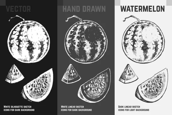 Handgezeichnete Wassermelone. Früchte Skizzenvektorset — Stockvektor