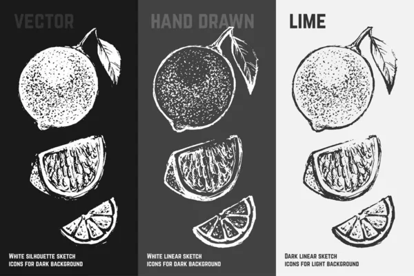 Conjunto de ícones cítricos. Limão desenhado à mão com folha — Vetor de Stock