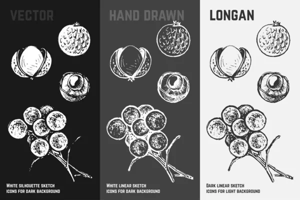 Ícones longan desenhados à mão. Ilustração vetorial — Vetor de Stock