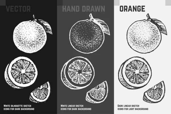 Conjunto de iconos cítricos. Bosquejo de fruta naranja — Archivo Imágenes Vectoriales