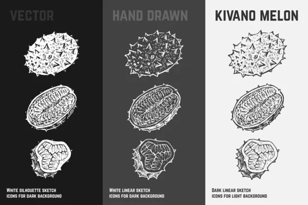 Kivano dibujado a mano. Juego de vectores de bocetos de frutas — Vector de stock