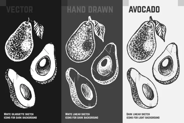 Abacate desenhado à mão. Conjunto de vetor de esboço de frutas — Vetor de Stock