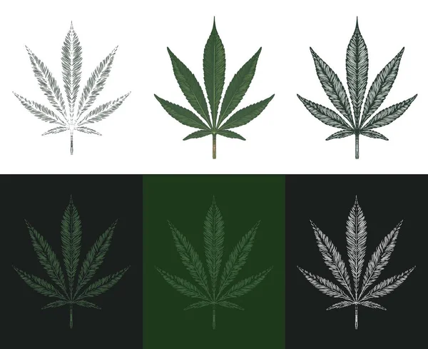 Cannabis of marihuana laat vector illustratie — Stockvector