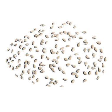 Susam tohumları ya da çizilmiş el çizimleri