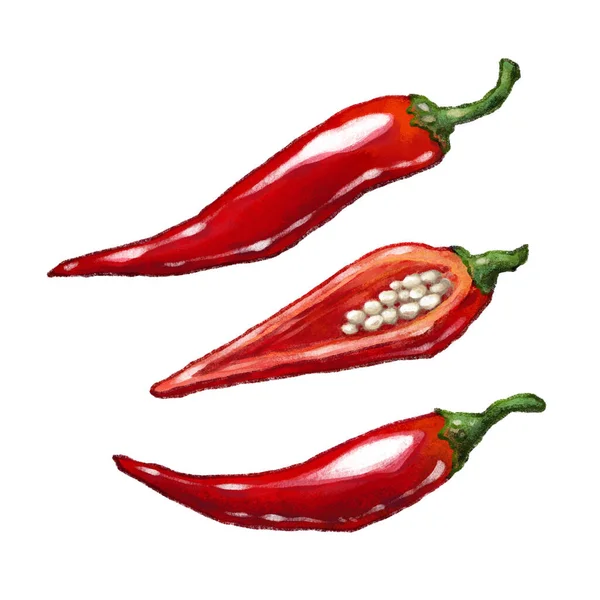 Red Pepper Paprika hand drawn food illustration — Stock Photo, Image