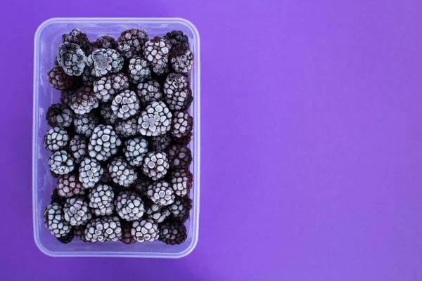 Gefrorene Brombeeren Der Plastikbox Auf Dem Violetten Hintergrund — Stockfoto