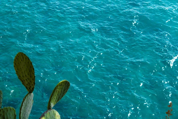 Güzel Bir Deniz Manzarası Güneşli — Stok fotoğraf