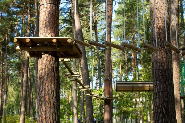 Πάρκο Σχοινί Στο Πευκοδάσος Την Ημέρα Καλοκαίρι — Φωτογραφία Αρχείου