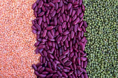 Mercimek, fasulye ve mung. Closeup.Top görünümü. Dikey şeritler.