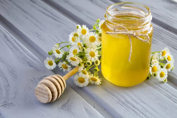 Honey Chamomiles Grey Wooden Background — Stock Photo, Image
