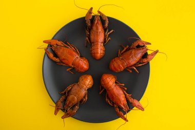 Sarı arka planda siyah bir tabakta haşlanmış kerevitler. Üstte görüntü.