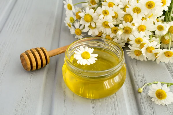 Honey Chamomile Grey Wooden Background — Stock Photo, Image