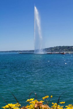 Yaz gününde göl ve çeşmenin panoramik manzarası. Cenevre.İsviçre.