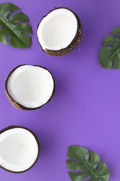Coconut halves and palm leaves on the violet  background. Top view. Copy space. Tropical background. Location vertical.