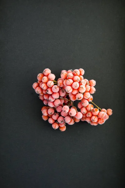 Gefrorene Rote Eberesche Auf Der Dunklen Oberfläche Draufsicht — Stockfoto