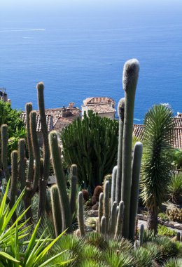 Bir yaz günü botanik bahçesinden güzel bir sahil ve deniz manzarası. Üst Manzara. Eze. Fransa.