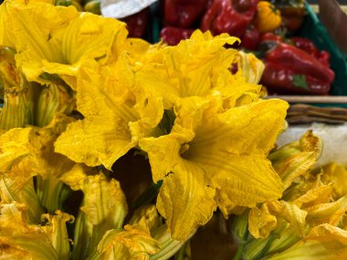 Çiftçi pazarında kabak çiçeği. Yakın plan..