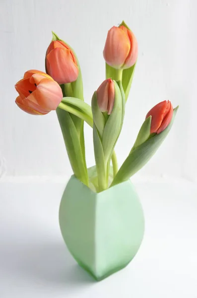 Bunte Tulpe Blumen Hintergrund — Stockfoto