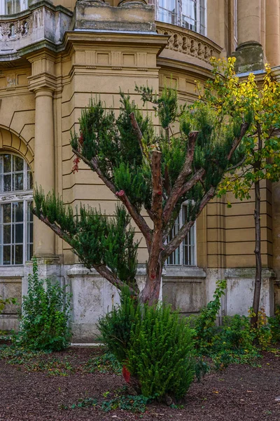 Ουγγαρία Βουδαπέστη 2017: Vajdahunyad castle στη Βουδαπέστη το φθινόπωρο — Φωτογραφία Αρχείου