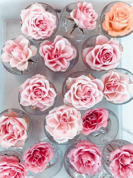 Platt låg söt färg rosor i glas vatten. Selektivt fokus. — Stockfoto