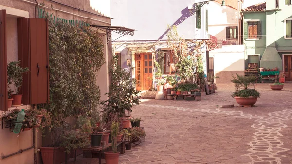 Maisons colorées de l'île de Burano. Venise. Rue typique avec buanderie suspendue aux façades de maisons colorées — Photo