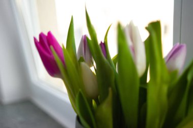 Taze lalebahar çiçek buketi. Ahşap bir masada