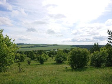 Yeşil tarlalı ve mavi gökyüzüyle manzara