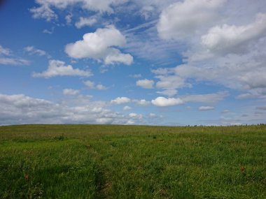 Yeşil tarlalı ve mavi gökyüzüyle manzara