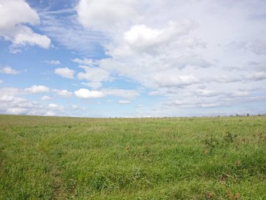 Yeşil tarlalı ve mavi gökyüzüyle manzara