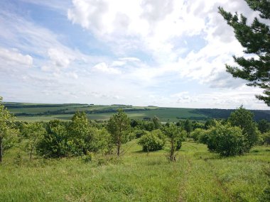 Yeşil tarlalı ve mavi gökyüzüyle manzara