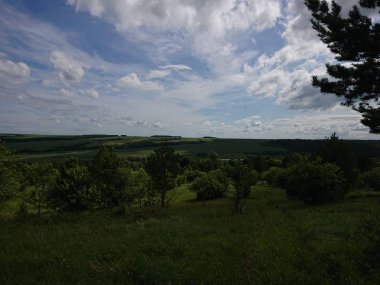 Yeşil tarlalı ve mavi gökyüzüyle manzara