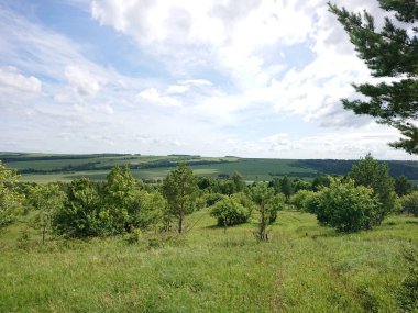 Yeşil tarlalı ve mavi gökyüzüyle manzara
