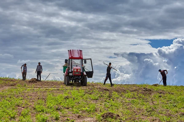 Pskov Rússia Julho 2018 Vários Agricultores Trabalham Campo Usando Uma — Fotografia de Stock