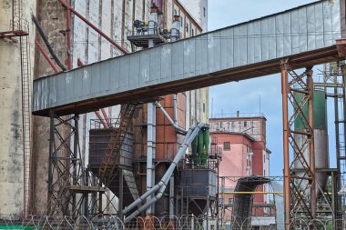 Vitebsk, Beyaz Rusya - 7 Temmuz 2018: Konveyörler tarım kova asansörlerin büyük ölçekli ekmek üzerinde.