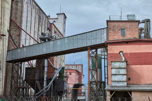 Vitebsk Bielorrusia Julio 2018 Transportadores Elevadores Cubos Agrícolas Panadería Mecanizada — Foto de Stock